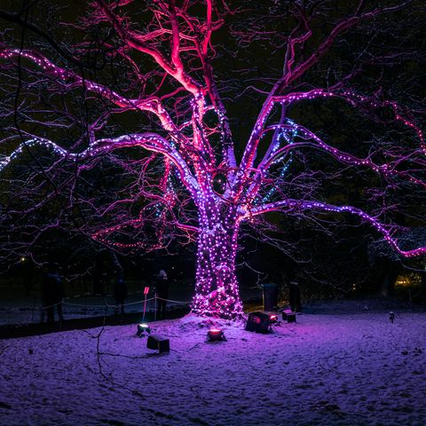 Christmas Garden, Singing Tree ©Christmas Garden, Michael Clemens