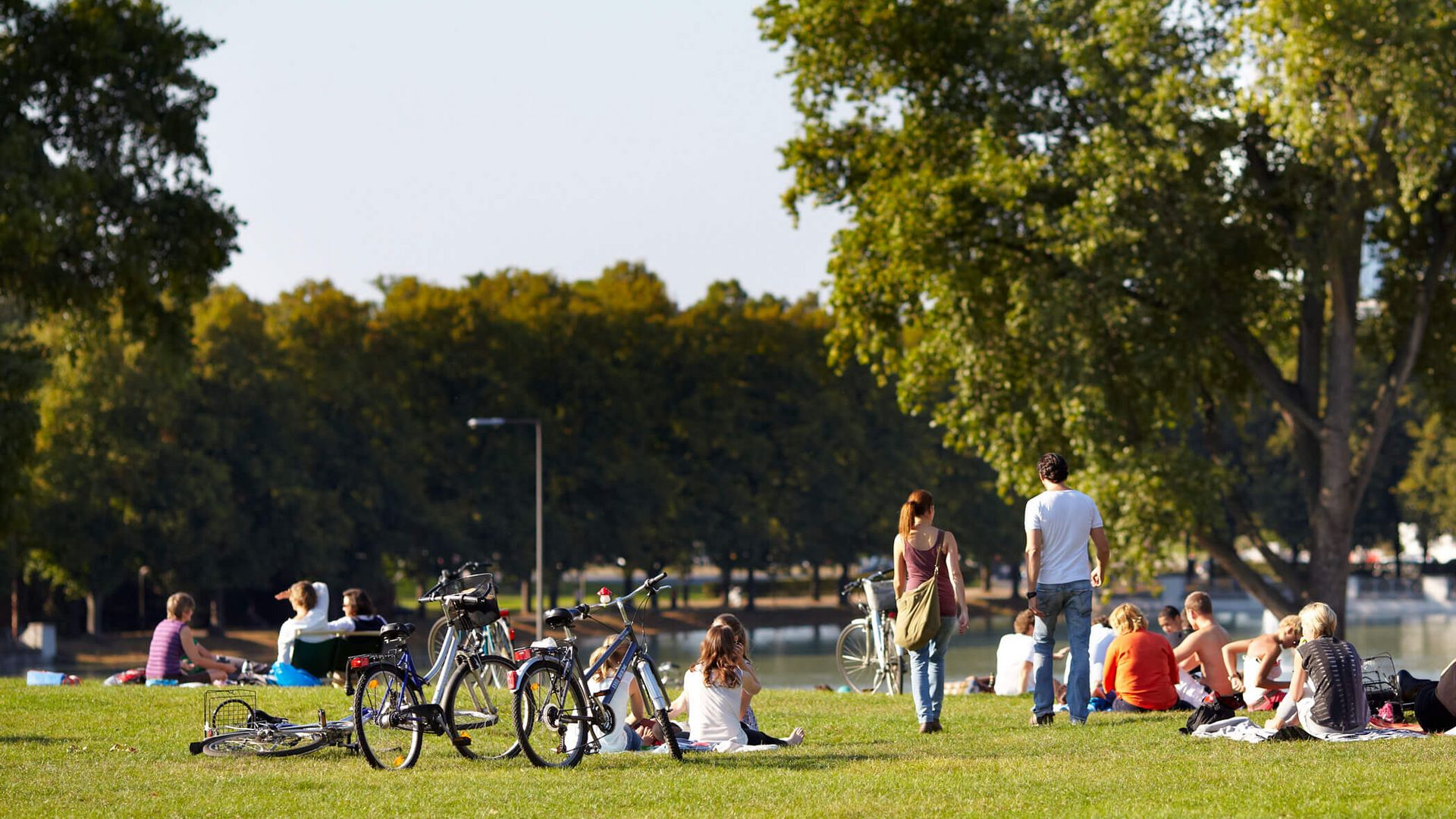 Der Aachener Weiher in der Sommerzeit. Alles ist grün und Menschen entspannen auf der Wiese.