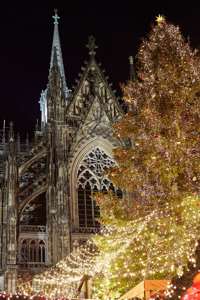Ein mit Lichterketten dekorierter Baum vor dem Kölner Dom.