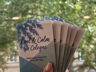 Eine Hand hält sechs gefaltete Stadtkarten fest.